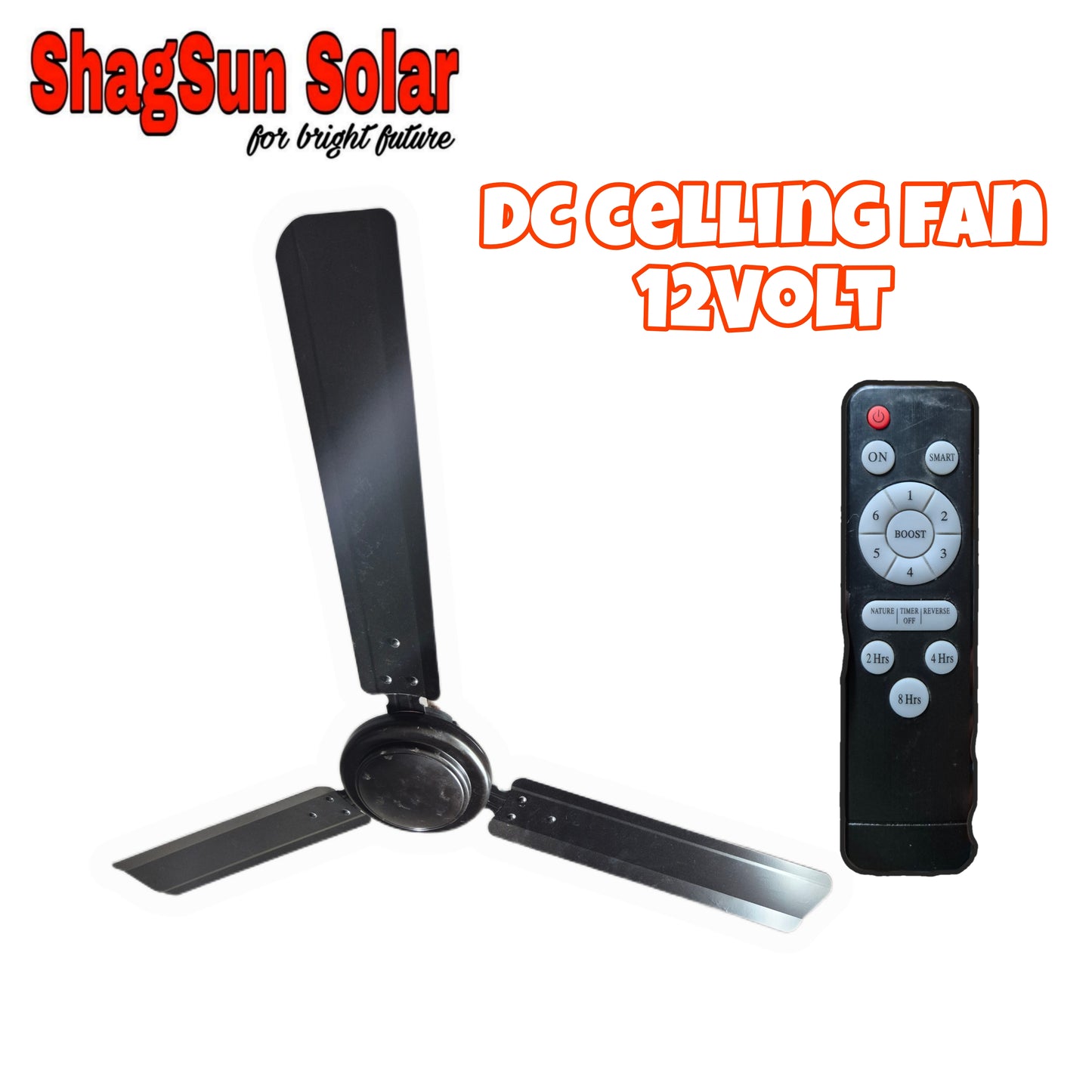 12v BLDC celling Fan